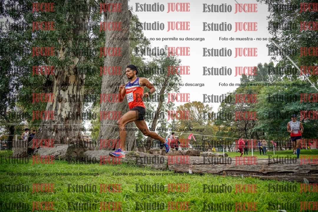 Fotos en el quinto punto del circuito