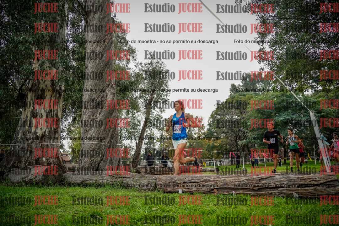 Fotos en el quinto punto del circuito