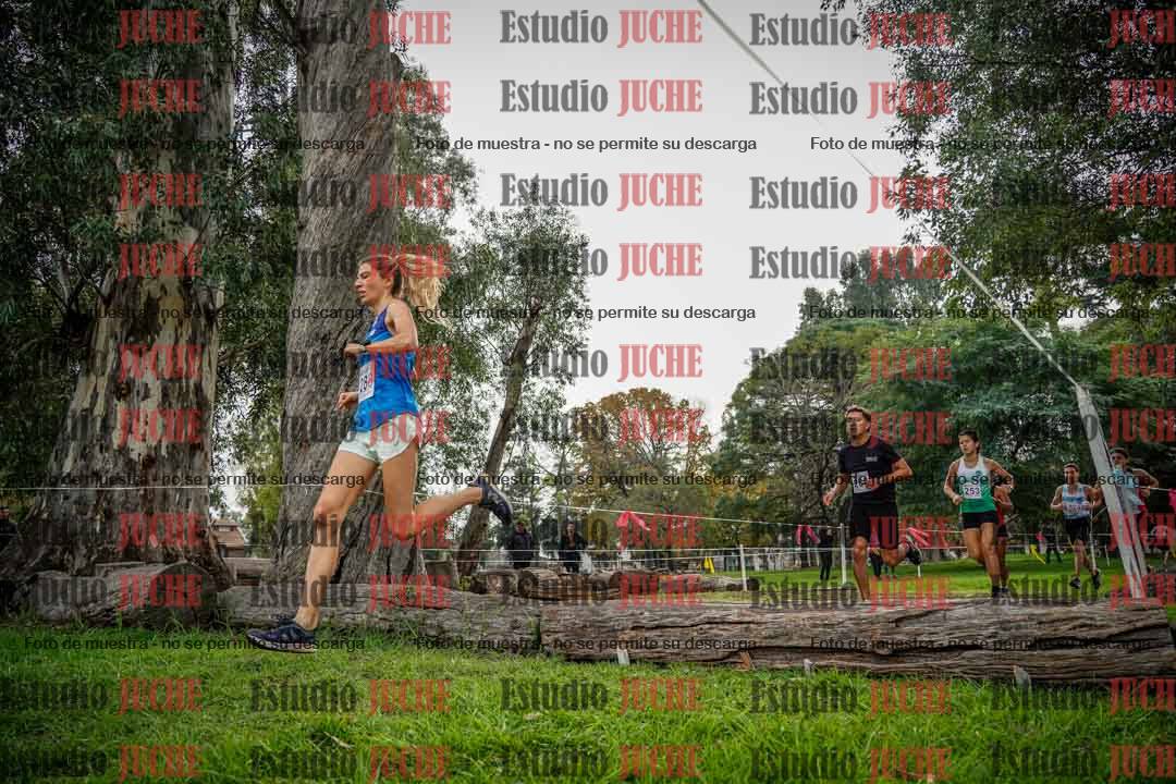 Fotos en el quinto punto del circuito