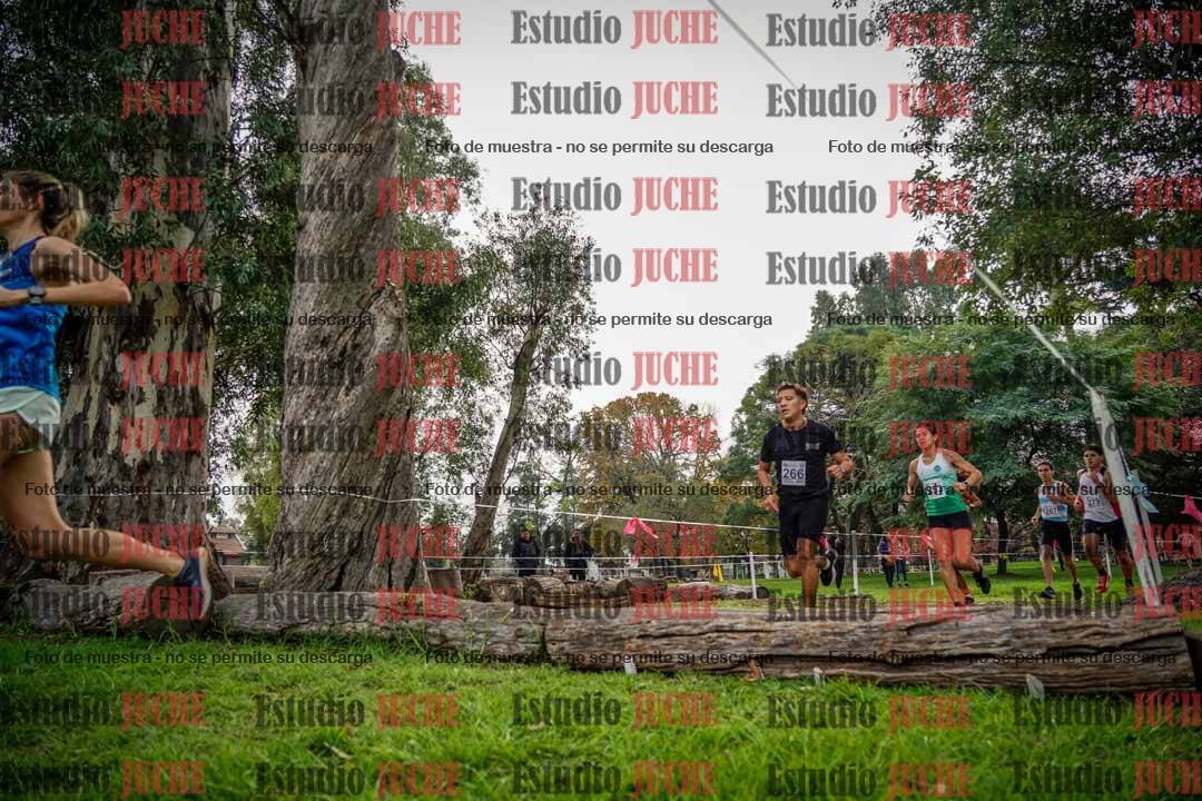 Fotos en el quinto punto del circuito