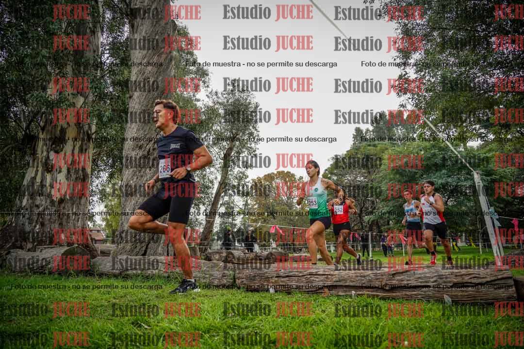 Fotos en el quinto punto del circuito