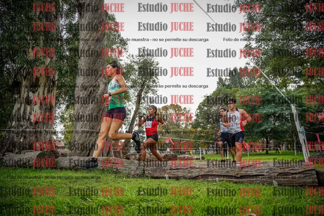 Fotos en el quinto punto del circuito
