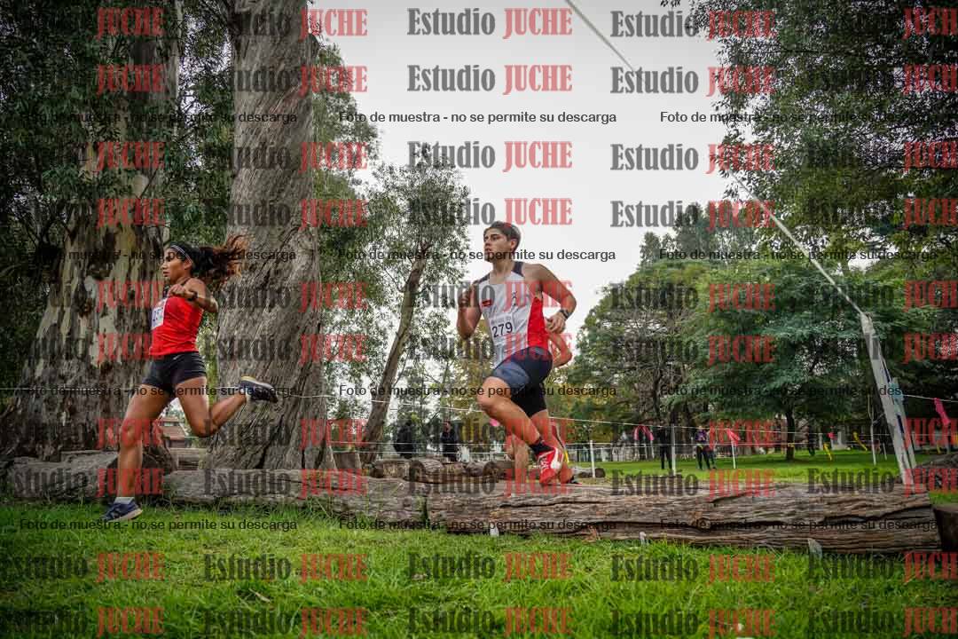 Fotos en el quinto punto del circuito