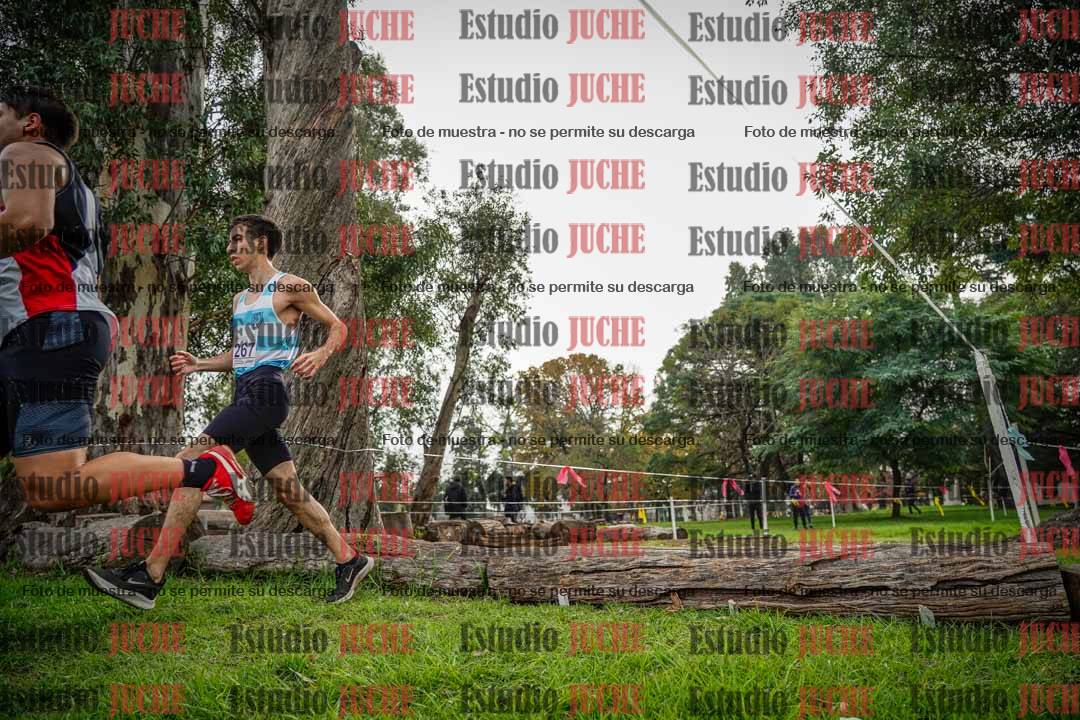Fotos en el quinto punto del circuito