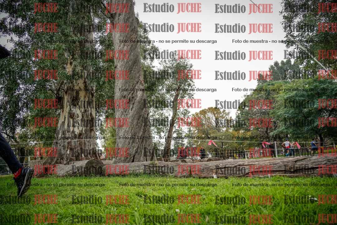 Fotos en el quinto punto del circuito