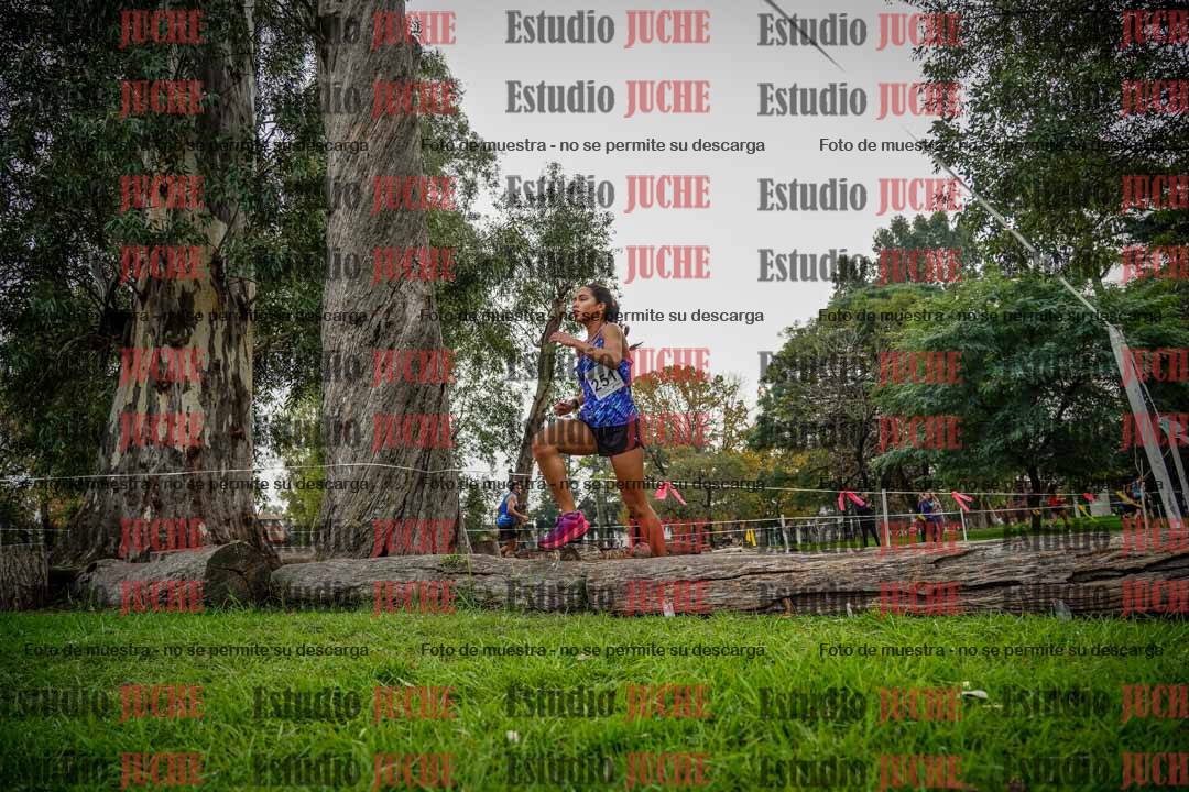 Fotos en el quinto punto del circuito
