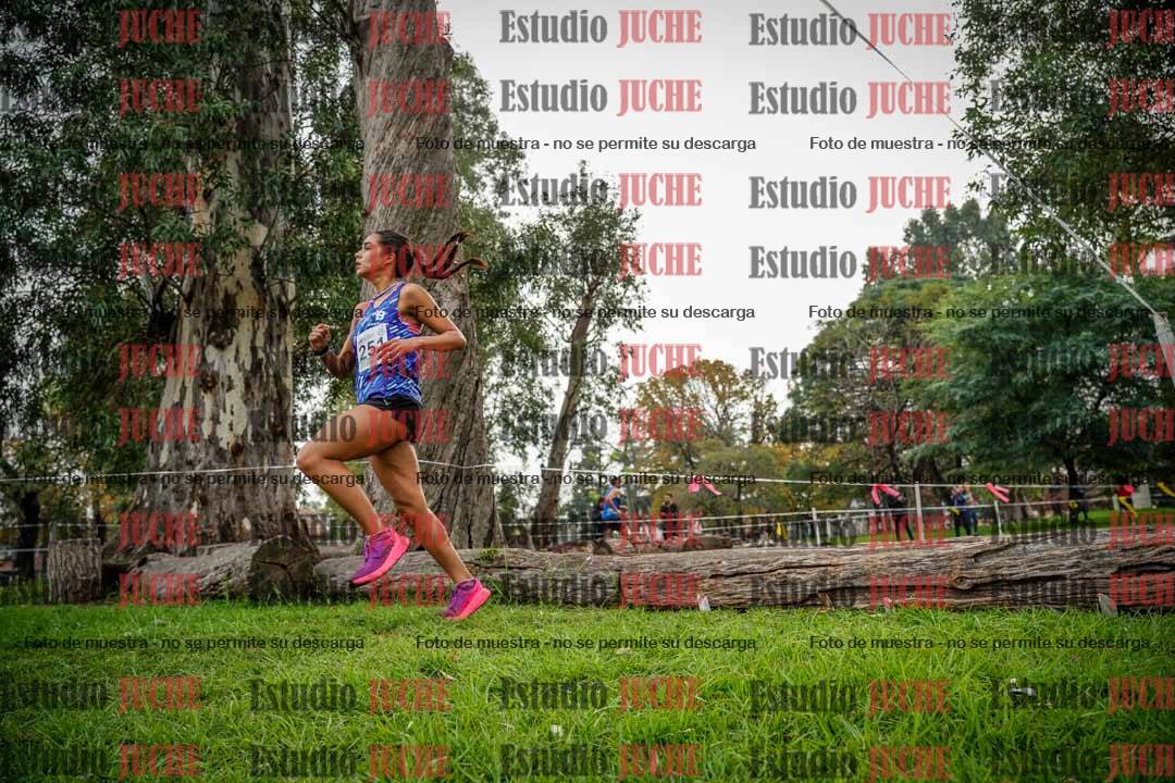 Fotos en el quinto punto del circuito