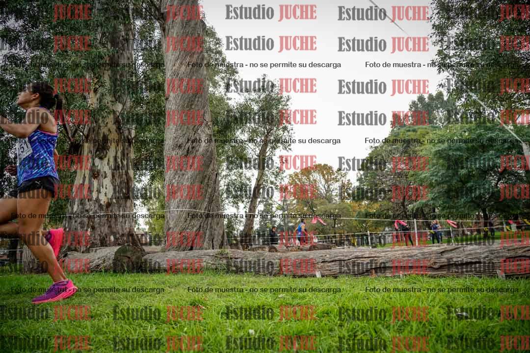 Fotos en el quinto punto del circuito