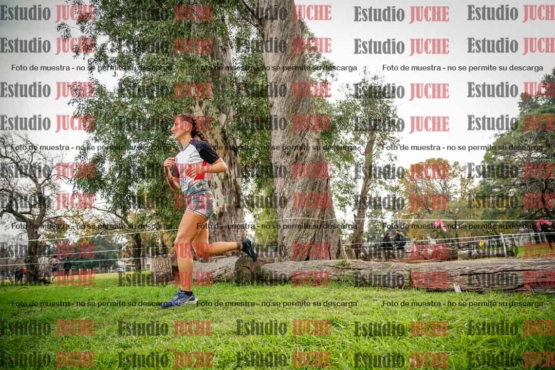 Fotos en el quinto punto del circuito