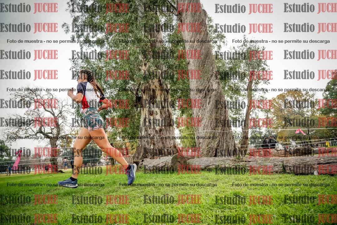 Fotos en el quinto punto del circuito