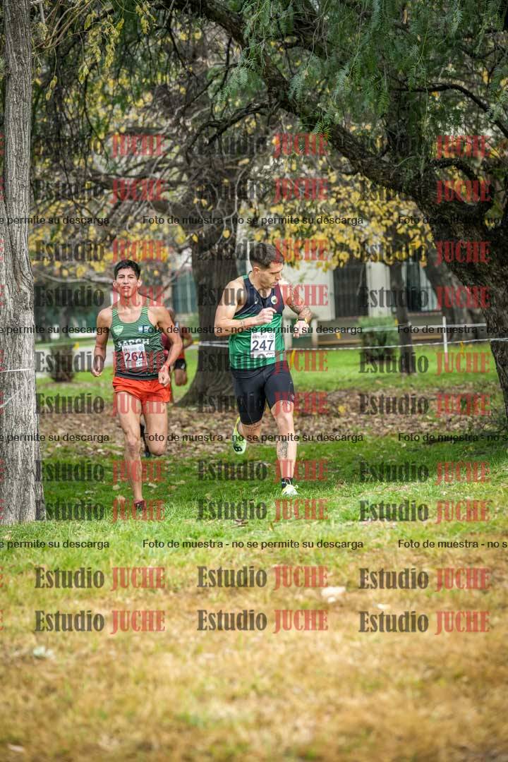Fotos en el sexto punto del circuito