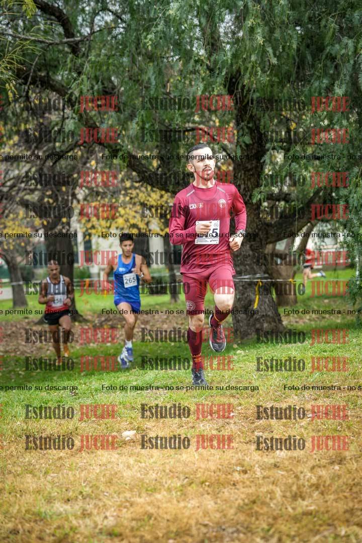 Fotos en el sexto punto del circuito
