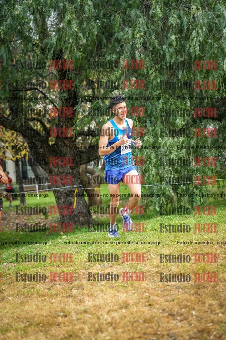 Fotos en el sexto punto del circuito