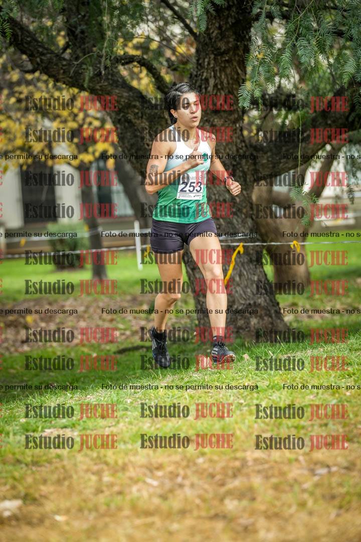Fotos en el sexto punto del circuito