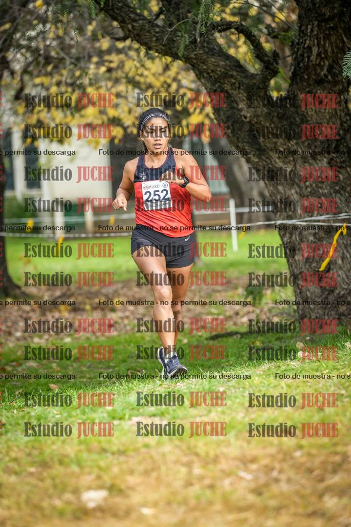 Fotos en el sexto punto del circuito