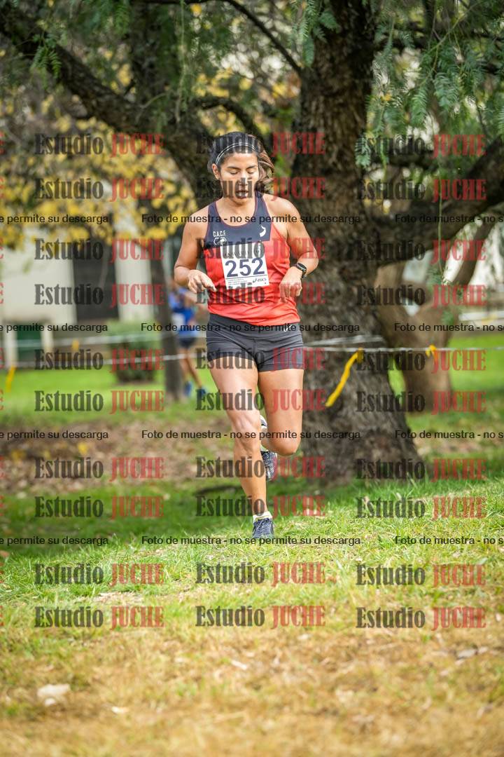 Fotos en el sexto punto del circuito
