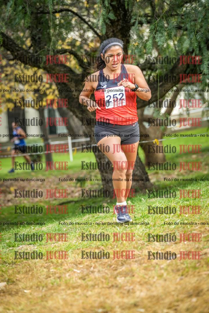 Fotos en el sexto punto del circuito