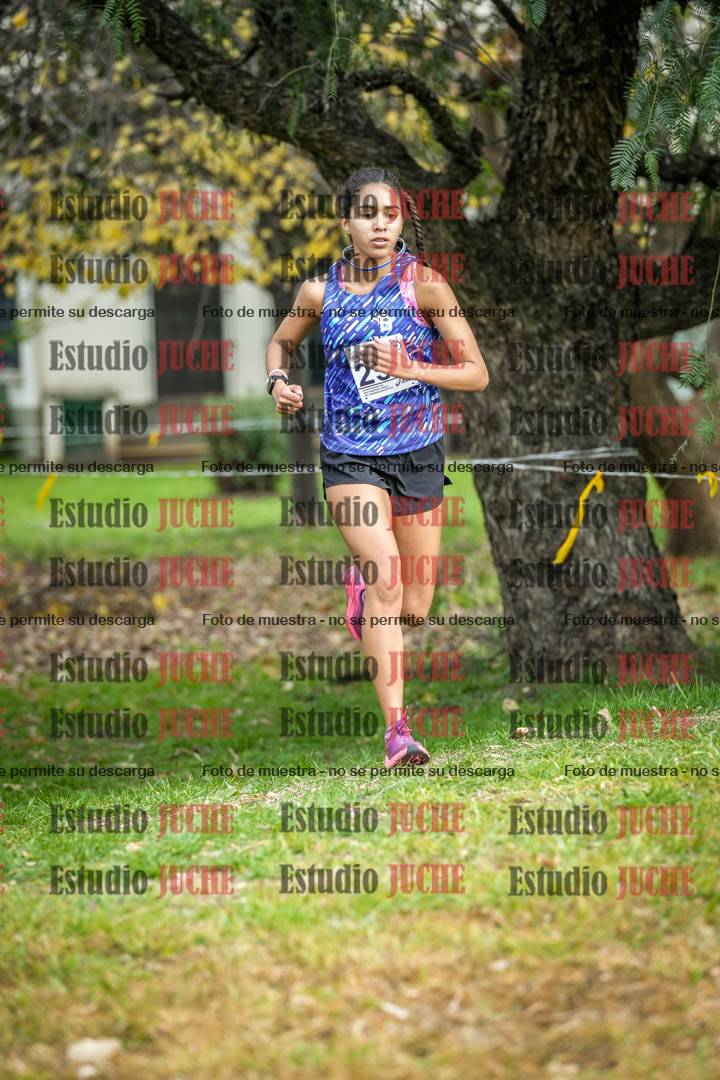 Fotos en el sexto punto del circuito