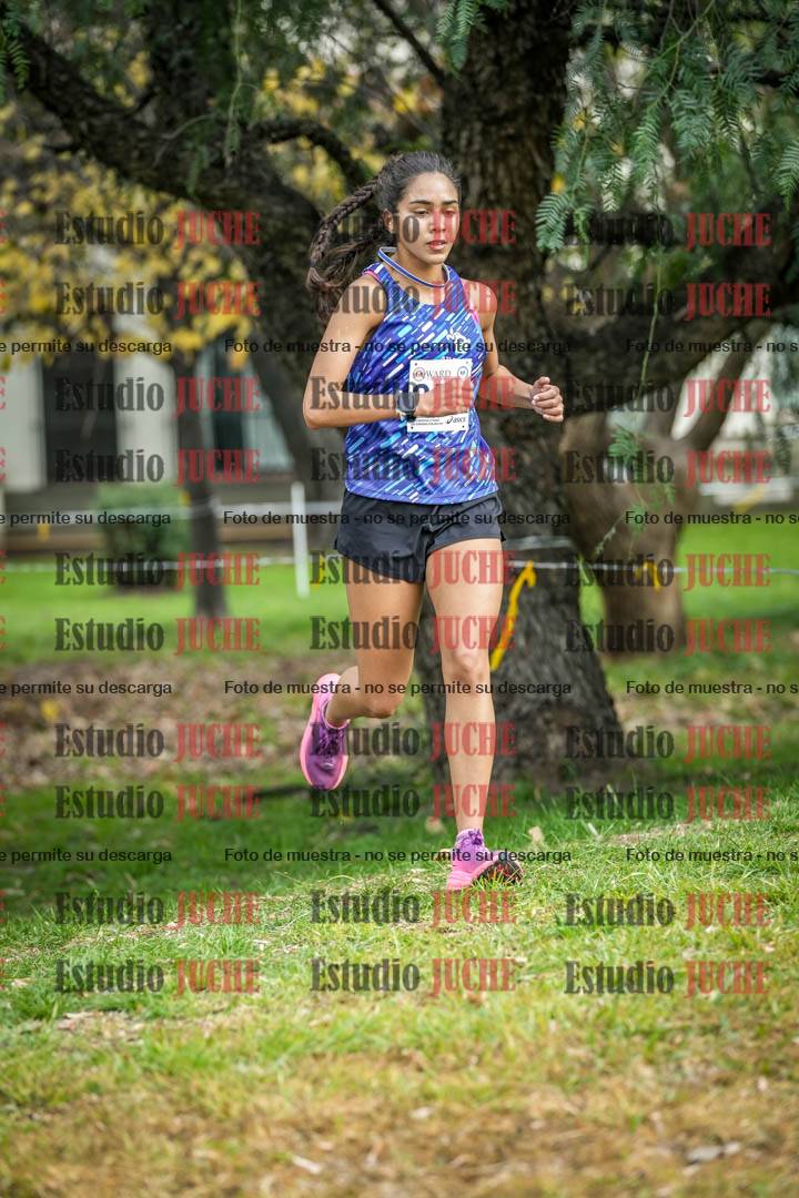 Fotos en el sexto punto del circuito