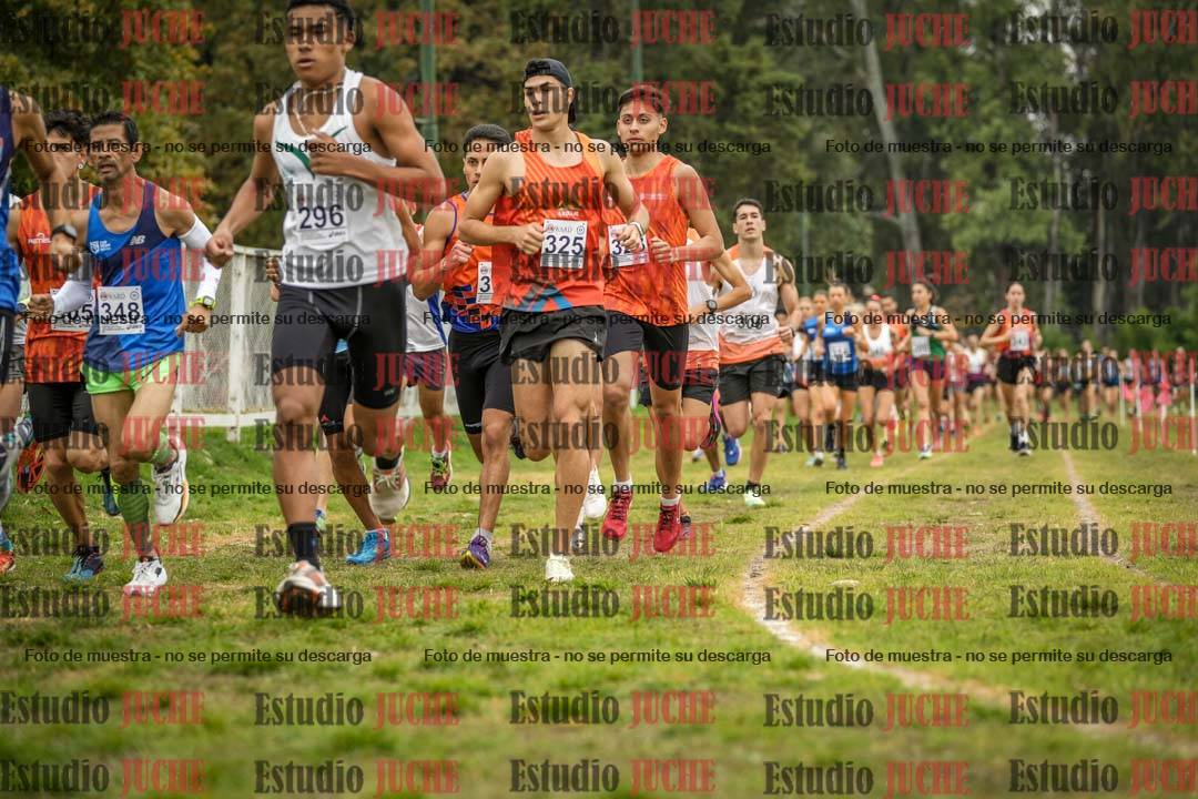 Fotos en el segundo punto del circuito