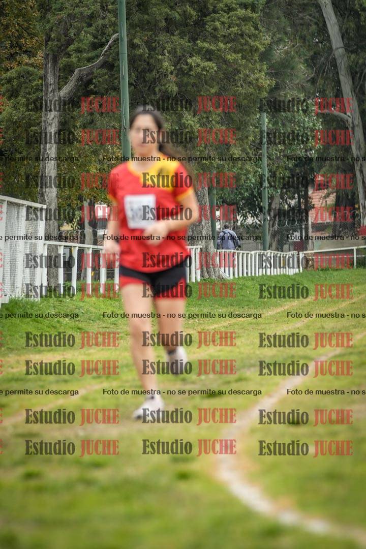 Fotos en el segundo punto del circuito