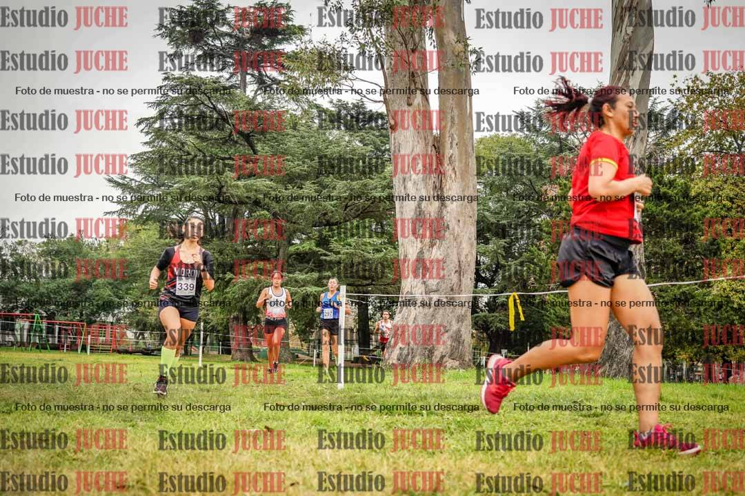Fotos en el cuarto punto del circuito