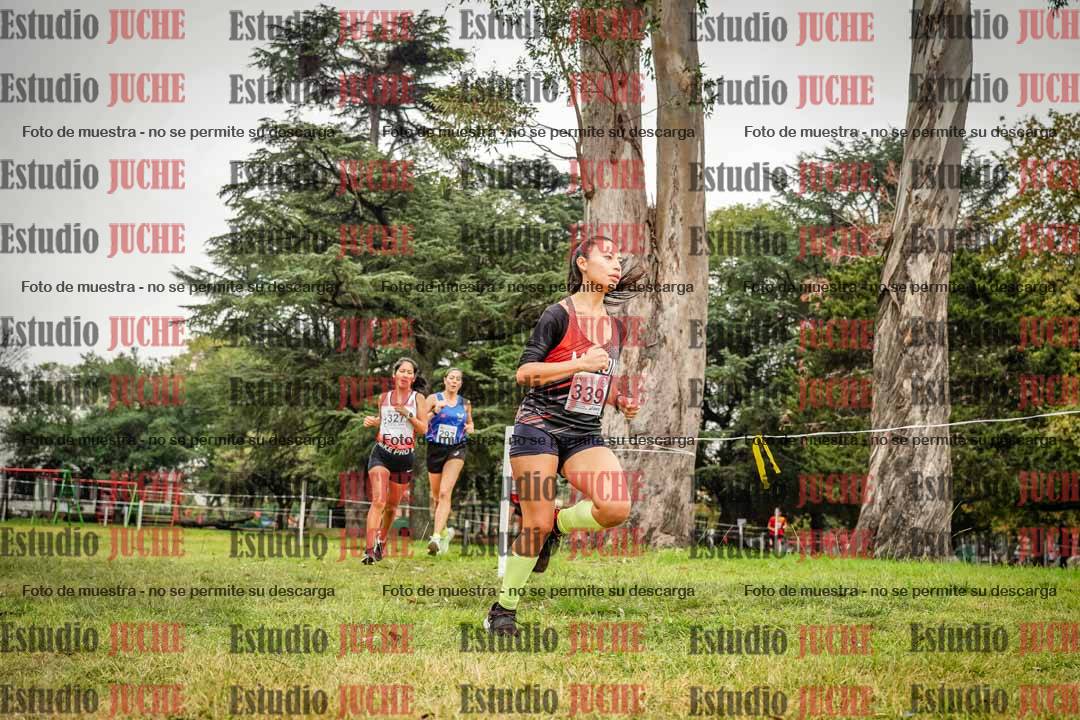 Fotos en el cuarto punto del circuito