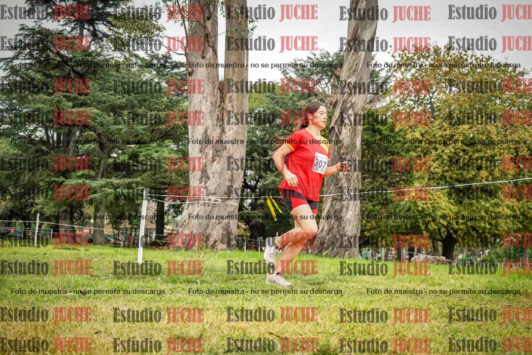 Fotos en el cuarto punto del circuito