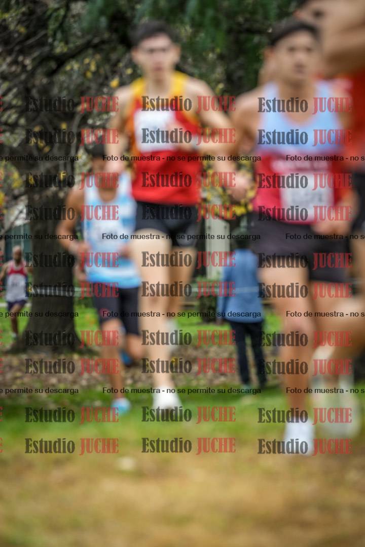 Fotos en el quinto punto del circuito