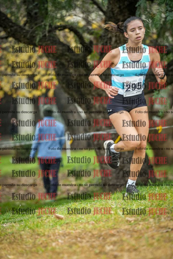 Fotos en el quinto punto del circuito
