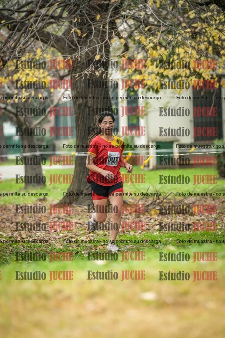 Fotos en el quinto punto del circuito