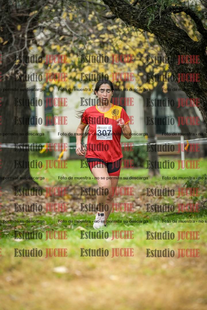 Fotos en el quinto punto del circuito
