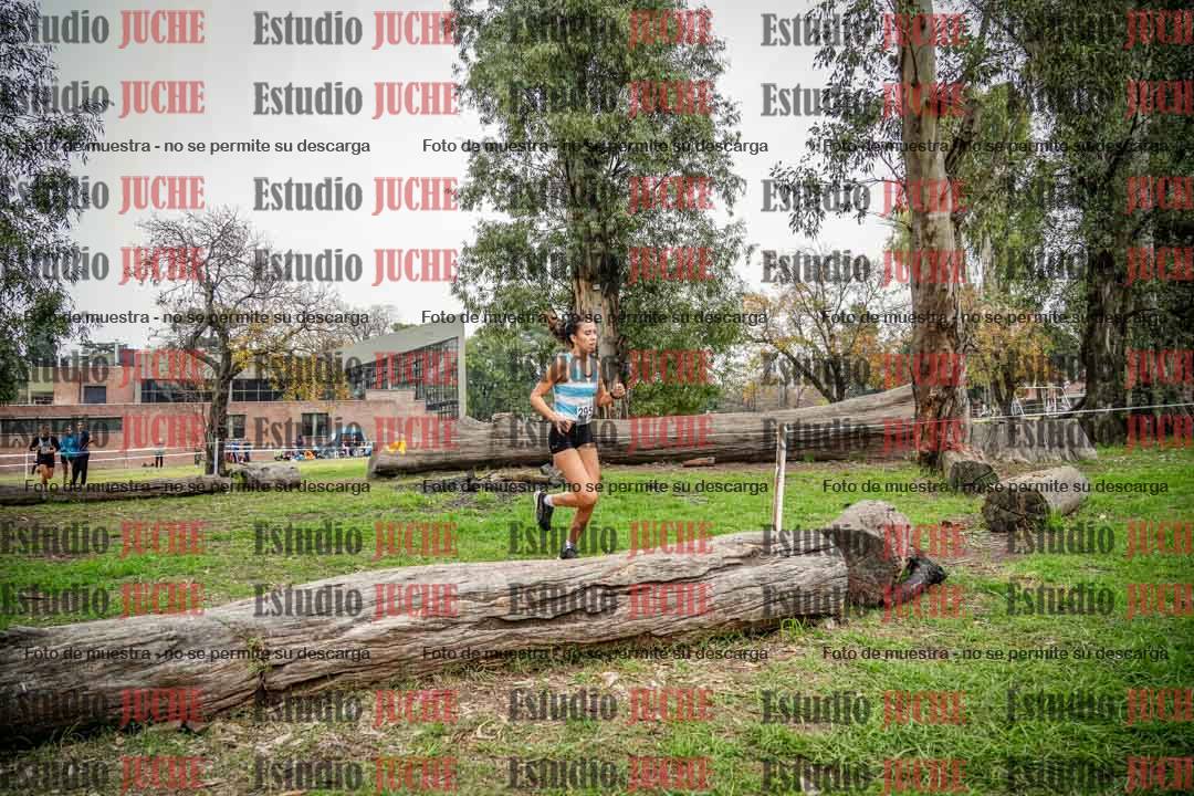Fotos en el séptimo punto del circuito