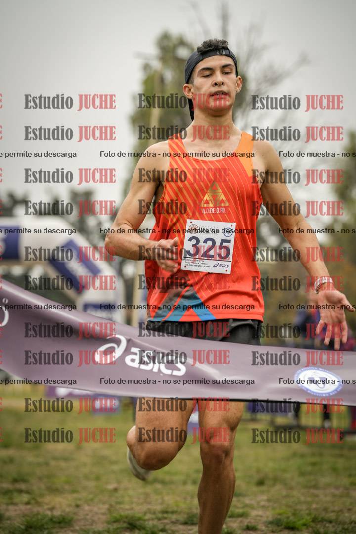 Fotos de la llegada del cross de 8000 m