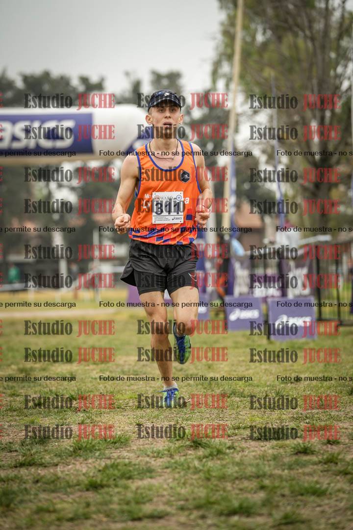 Fotos de la llegada del cross de 8000 m