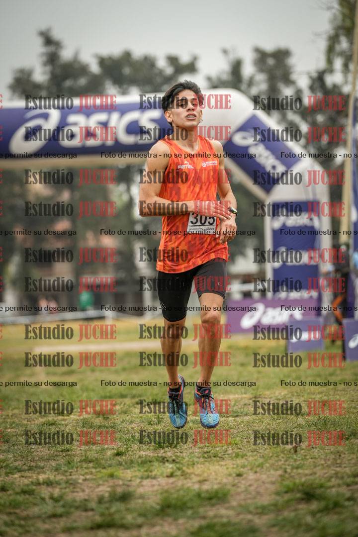 Fotos de la llegada del cross de 8000 m