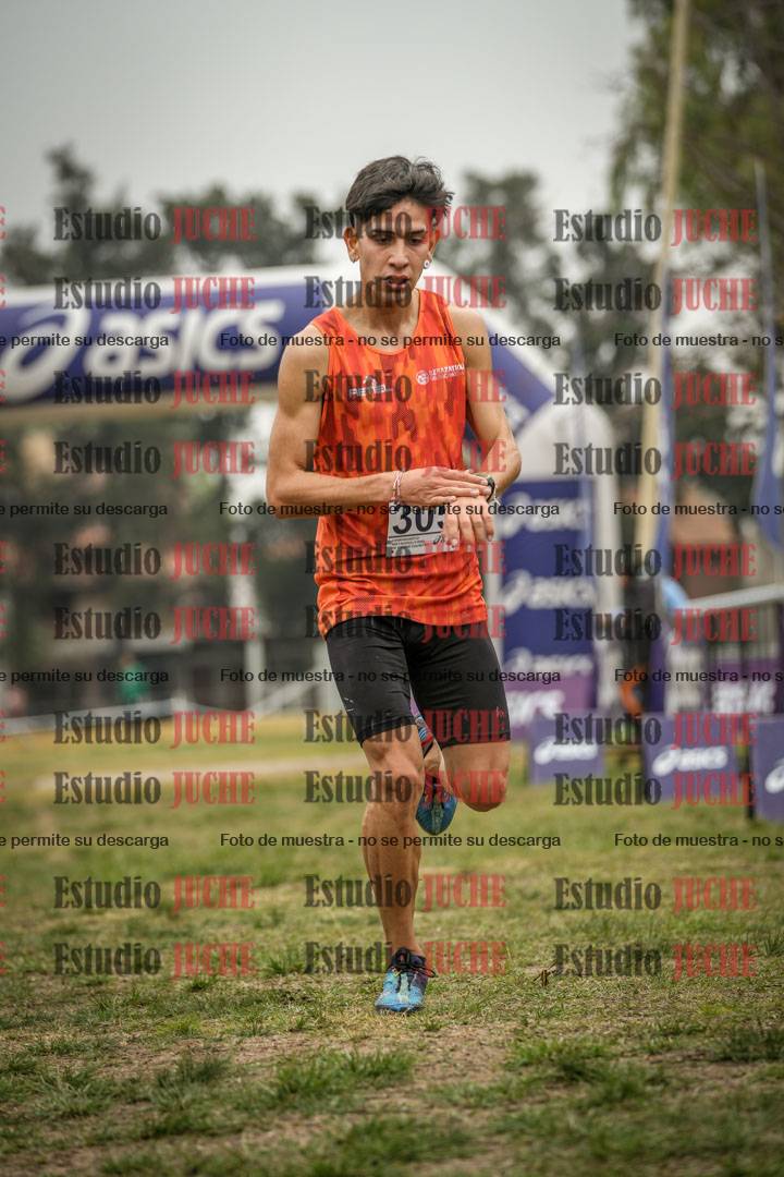 Fotos de la llegada del cross de 8000 m