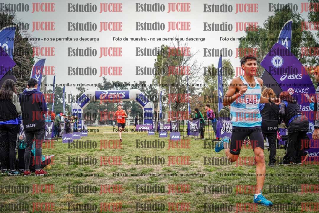 Fotos de la llegada del cross de 8000 m
