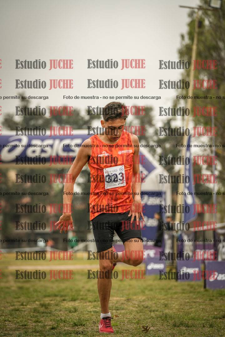 Fotos de la llegada del cross de 8000 m