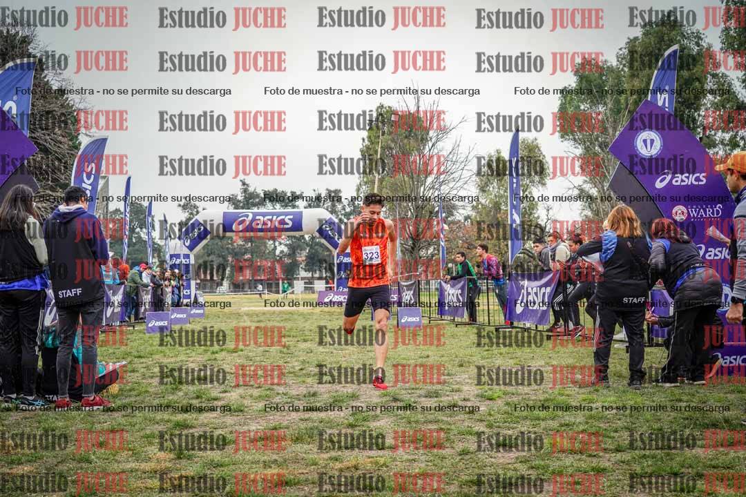 Fotos de la llegada del cross de 8000 m