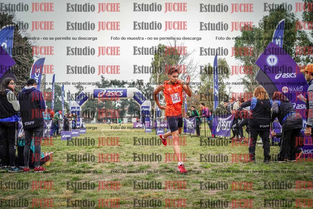 Fotos de la llegada del cross de 8000 m