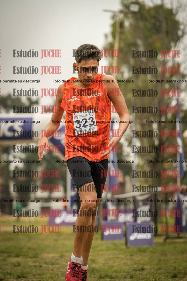 Fotos de la llegada del cross de 8000 m