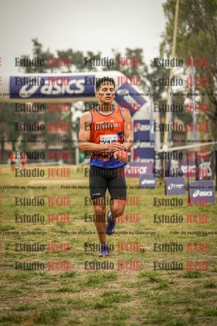 Fotos de la llegada del cross de 8000 m