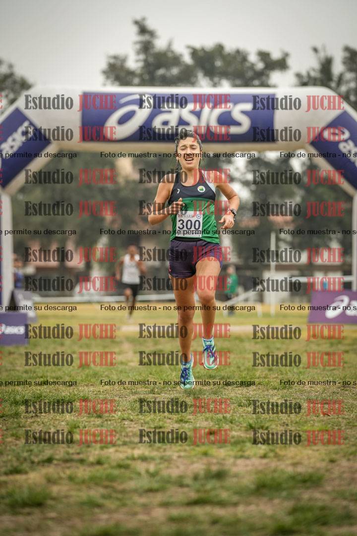 Fotos de la llegada del cross de 8000 m