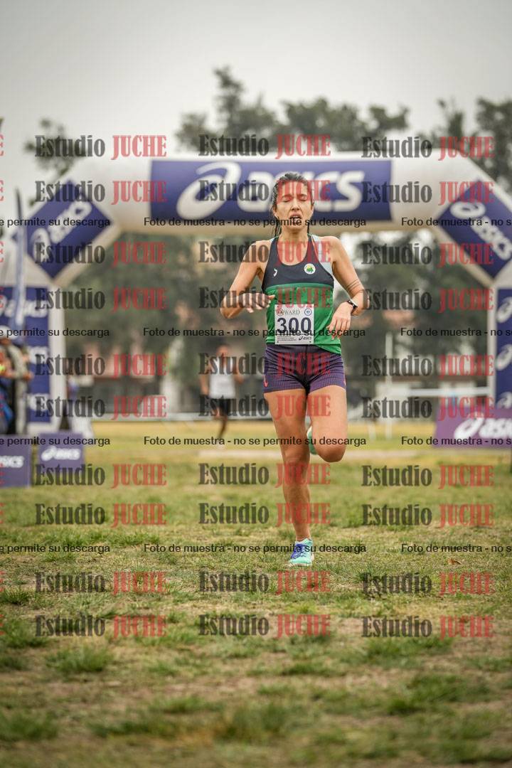 Fotos de la llegada del cross de 8000 m