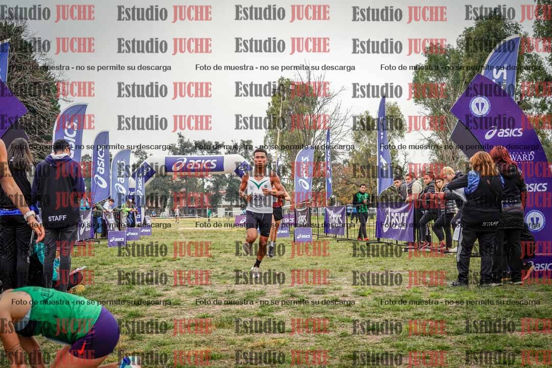 Fotos de la llegada del cross de 8000 m