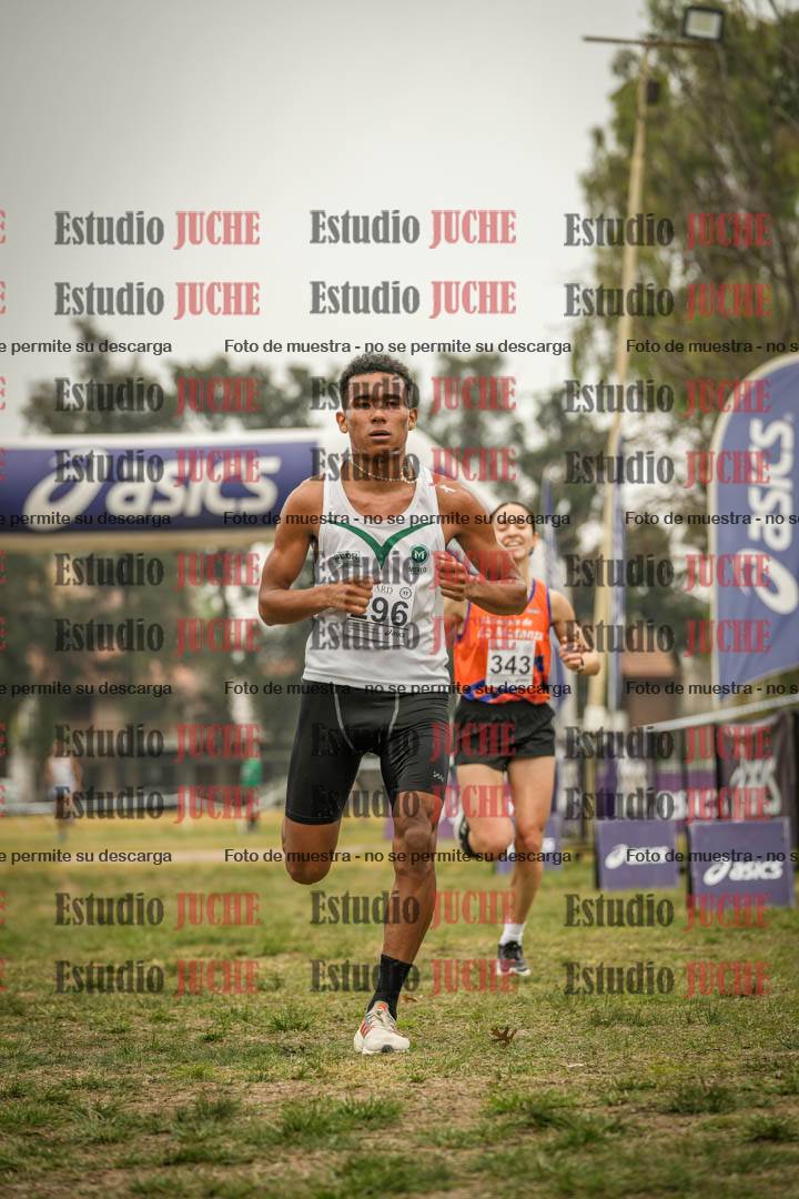Fotos de la llegada del cross de 8000 m