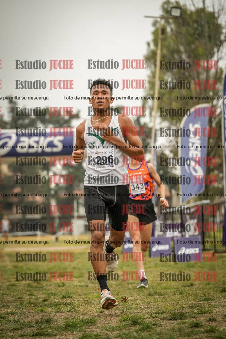 Fotos de la llegada del cross de 8000 m