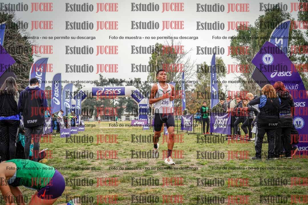Fotos de la llegada del cross de 8000 m