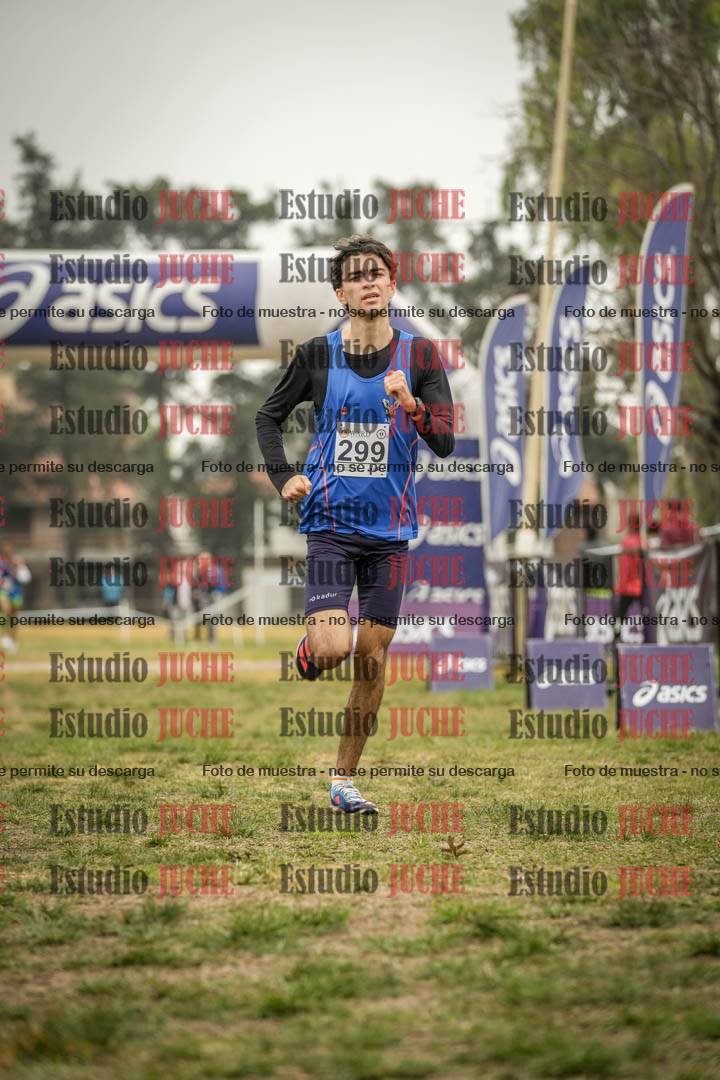 Fotos de la llegada del cross de 8000 m